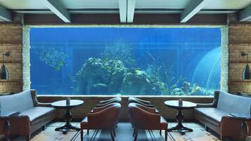 Ein Restaurant mit einer großen Aquariumwand, Sitzplätzen mit Tischen und einem gefliesten Boden.