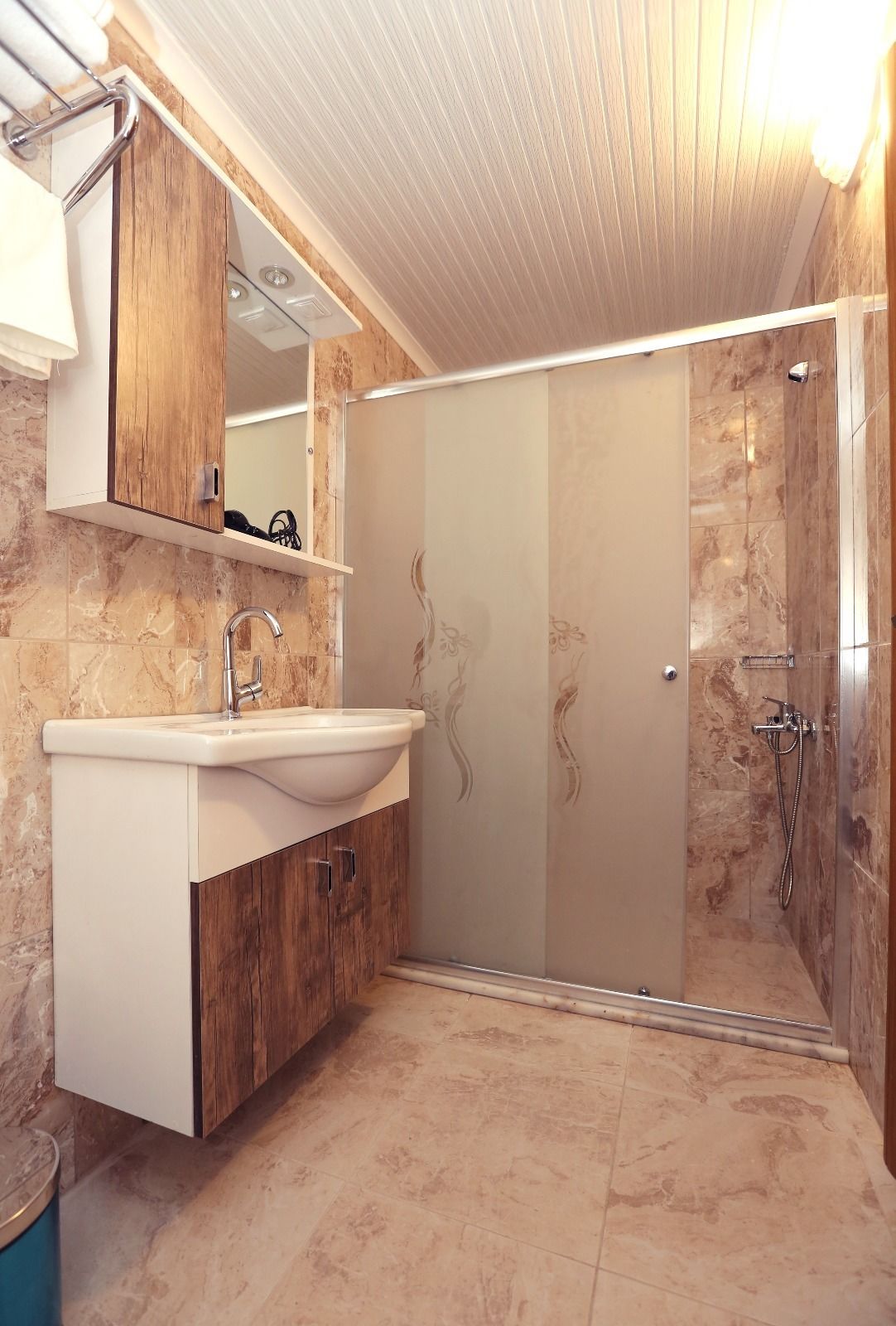 Shower, free toiletries, hair dryer