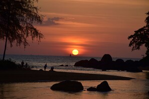 Sombrillas, toallas de playa, vóley playa y bar en la playa