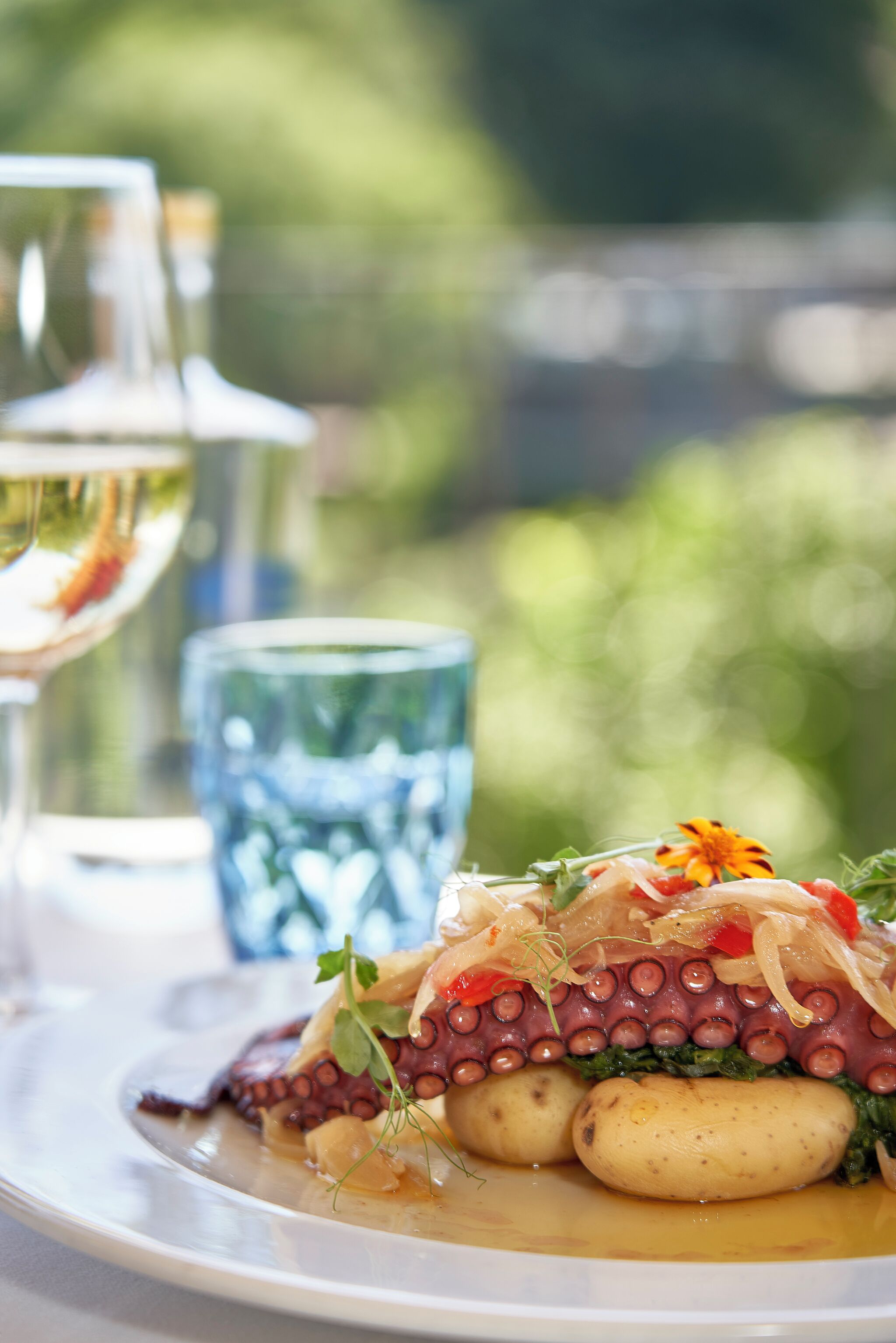 Un plato de pulpo con patatas y verduras, acompañado de una copa de vino blanco y un vaso de agua.