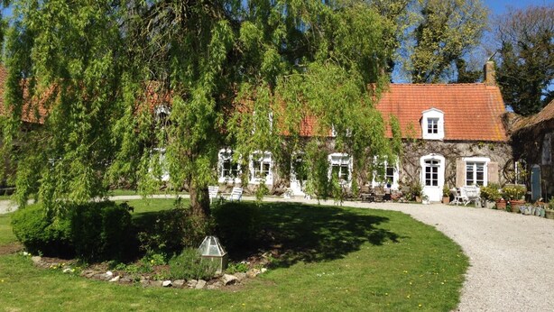 Eksteriør