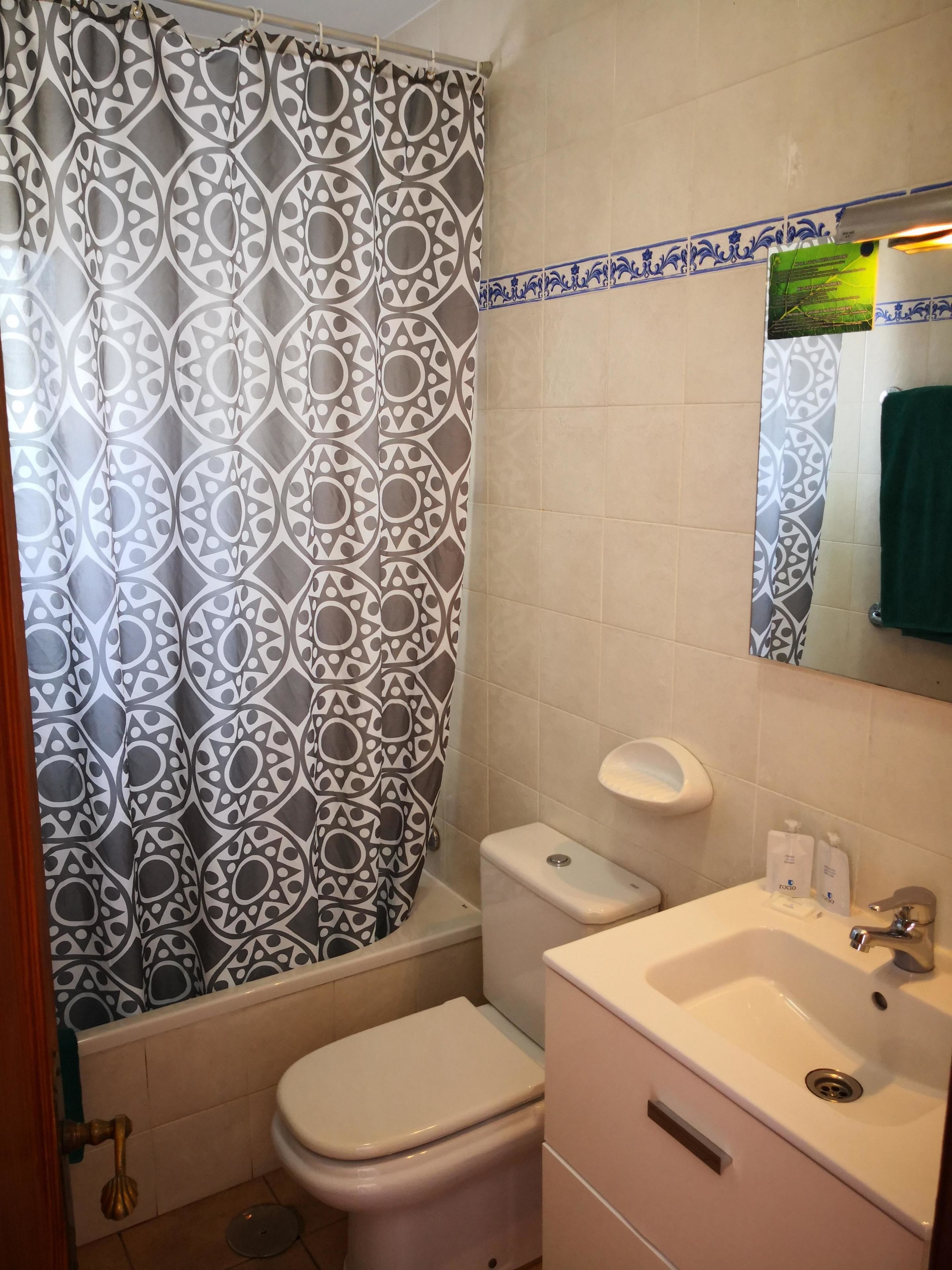 combined shower/bathtub, deep-soaking bathtub, hair dryer, towels