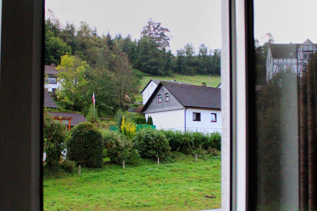 A view from a window overlooking a grassy area with a house and trees.