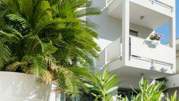 Facciata della struttura