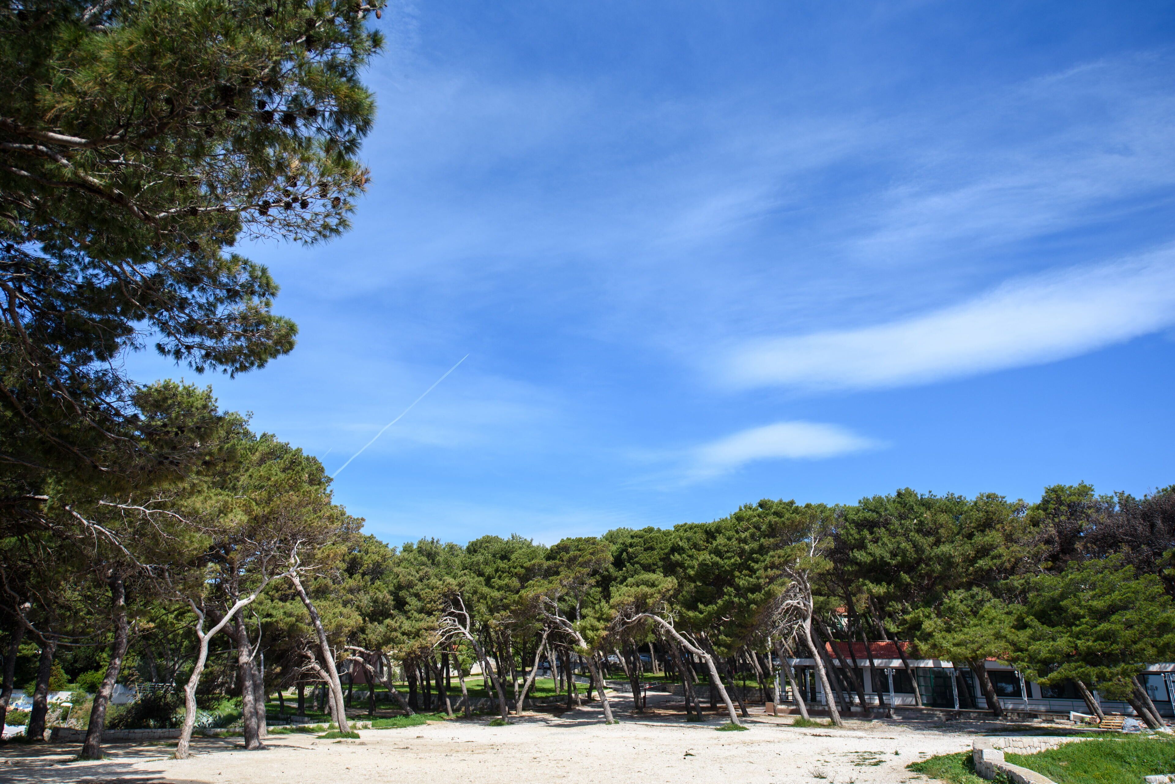 Foto - Best location Rooms