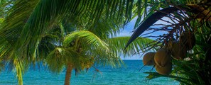 Cabane, en front de plage (#8)