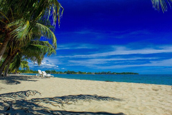 A beach with white lounge chairs and palm trees.