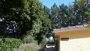 A pathway leading to a building with a yellow exterior, surrounded by greenery and trees. - Agriturismo La Selva (Nocera Umbra)