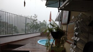 Un balcón con piso de madera, una piscina pequeña y una planta colgante.