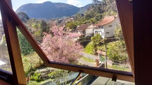 A view through a window of a residential area with houses, a mountain, and cherry blossoms. - 746 Pousada (Nova Friburgo)