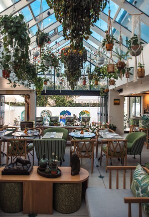 An indoor space with hanging plants, seating areas, and a view through a glass ceiling.