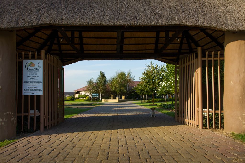 A covered entrance with a sign, a paved pathway, and a small dog in the distance.
