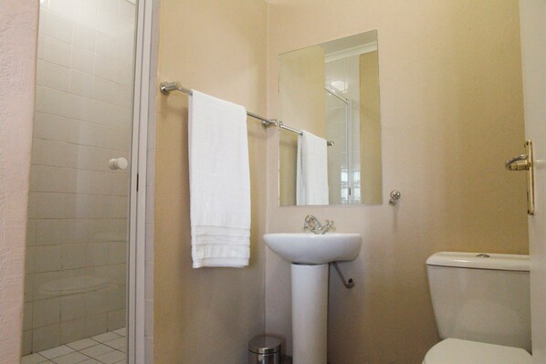 A bathroom with a glass shower enclosure, a white sink, and a toilet. - Grasslands Conference and Wedding Venue (Bethal)