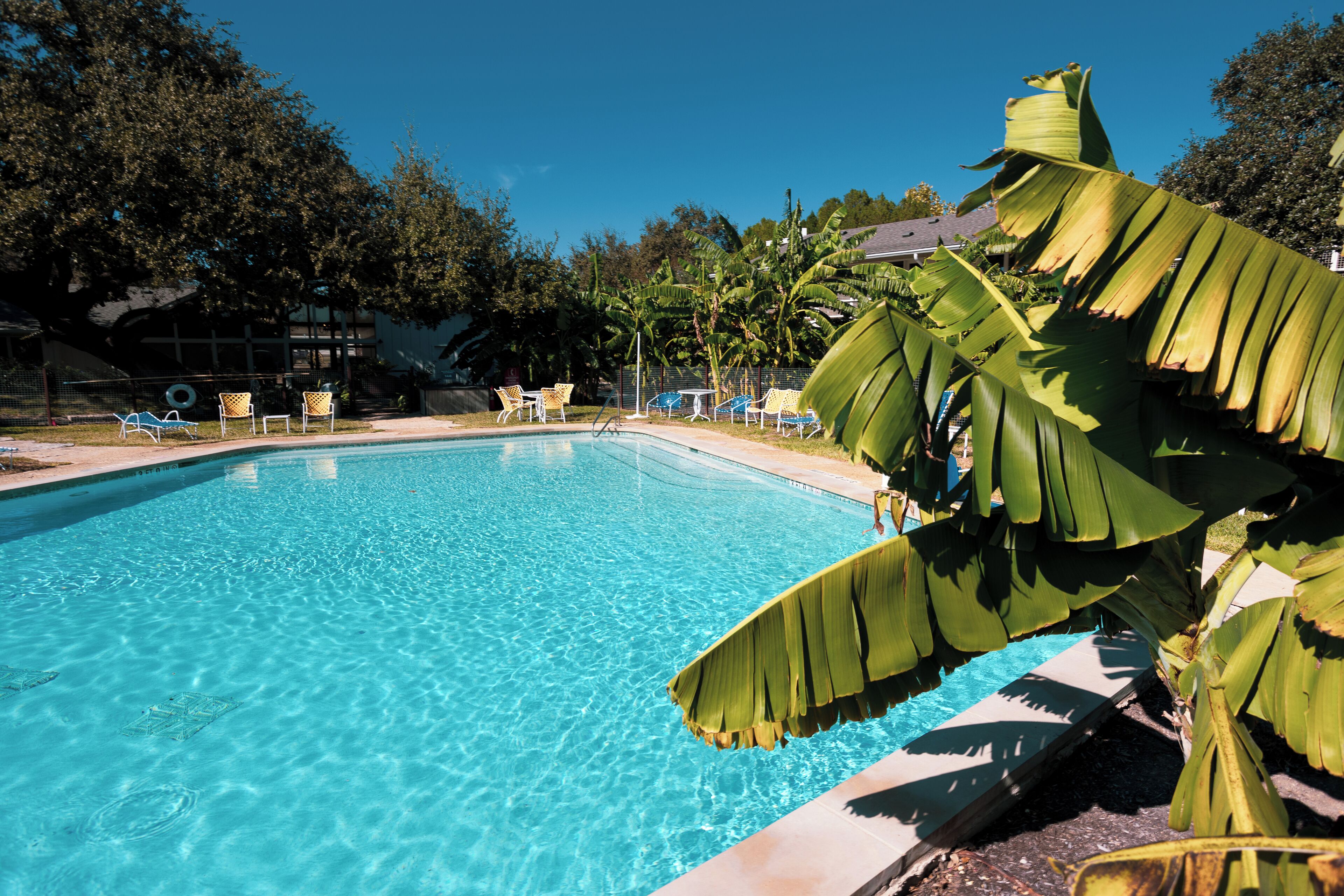 Piscine extérieure (ouverte en saison)