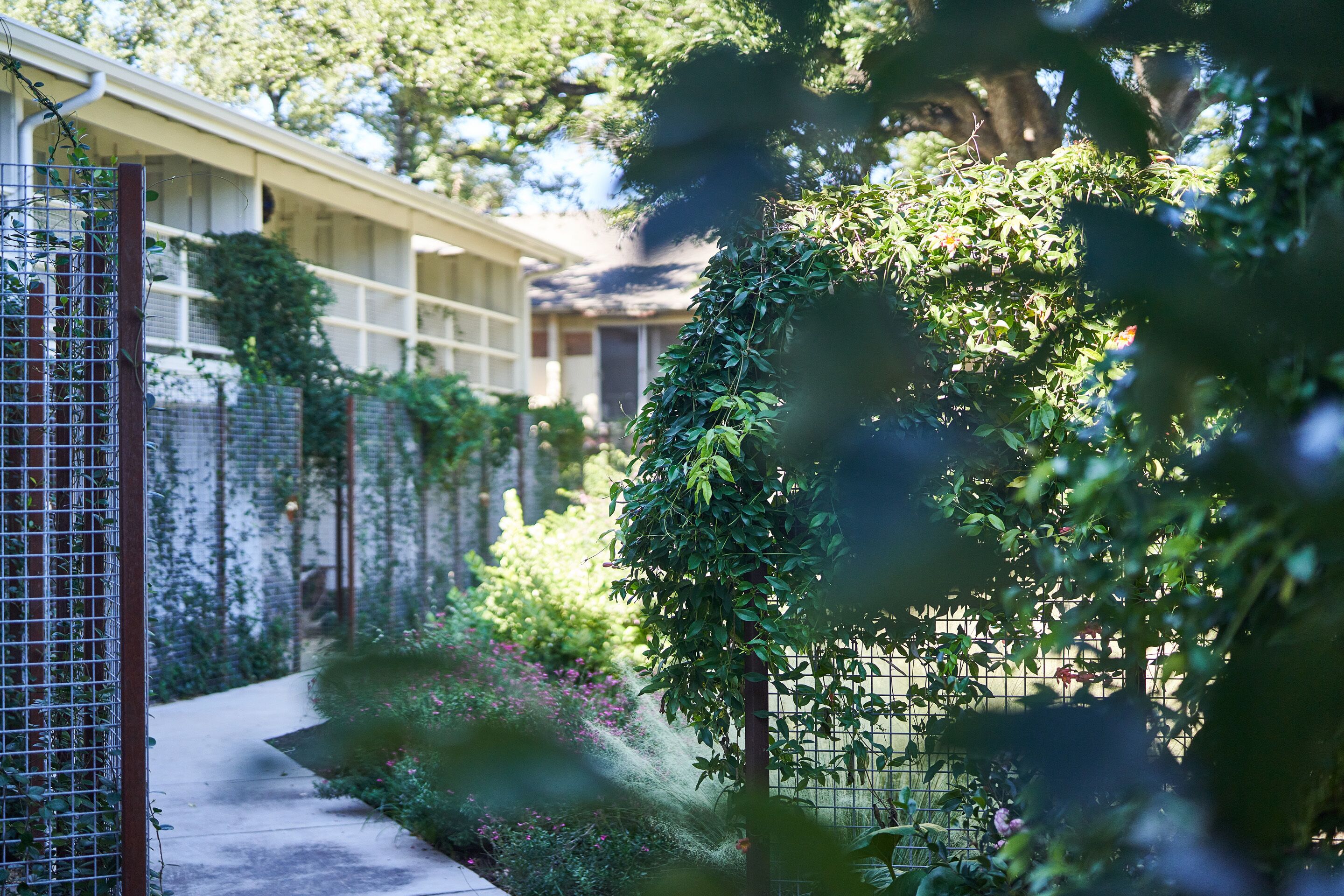 Chambre Simple Deluxe, 1 très grand lit, non-fumeur | Vue de la chambre