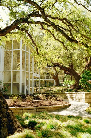 A building with a glass facade, surrounded by a garden with a pathway and large trees.