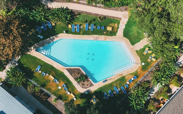 An aerial view of a swimming pool surrounded by lounge chairs and umbrellas, with a garden area and trees around.