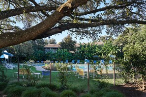 A fenced outdoor area with a pool, lounge chairs, and a large tree.