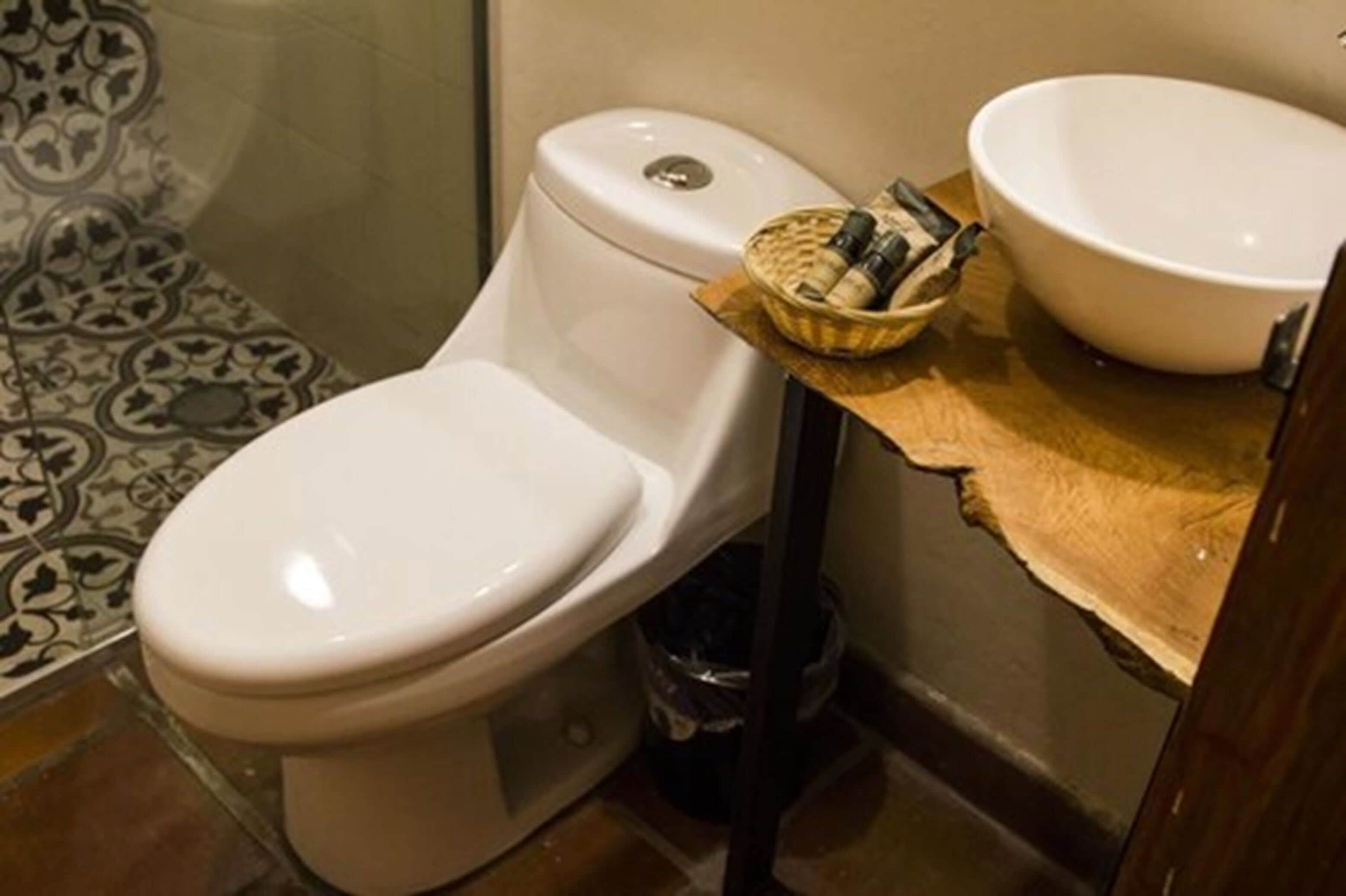 deluxe double room, 1 king bed, non smoking | bathroom | shower, free toiletries, hair dryer, towels