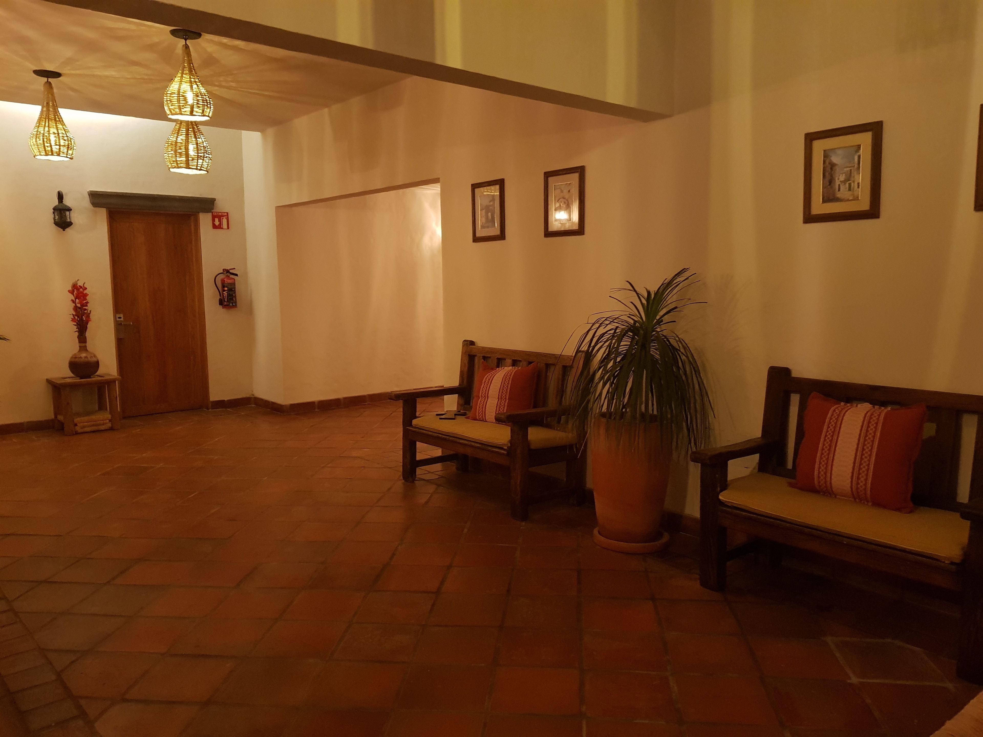 A hallway with a wooden bench, a potted plant, and a door.