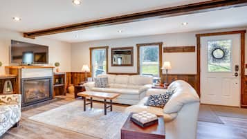 TV, fireplace, books