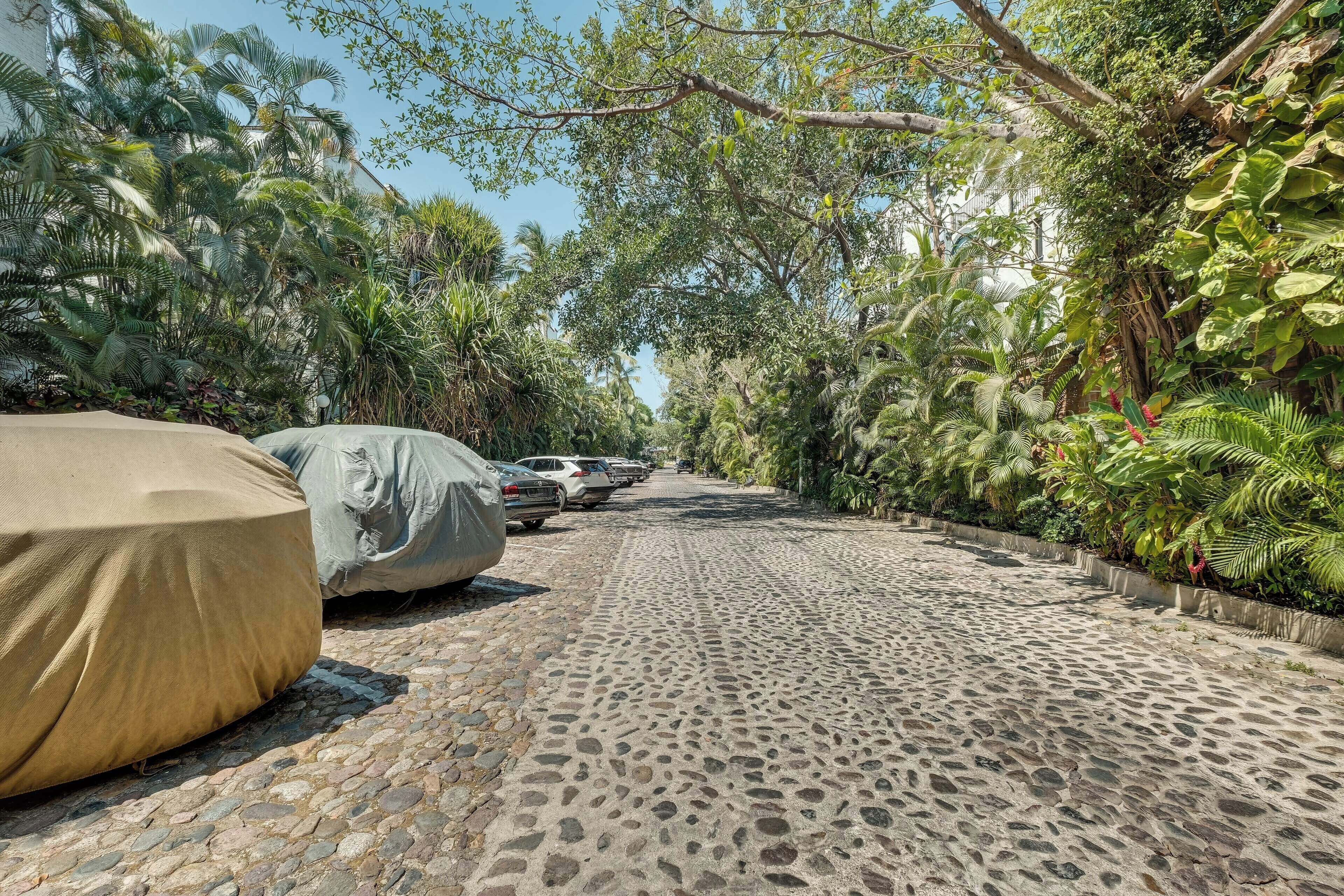 A cobblestone street lined with parked cars and covered by a canopy.