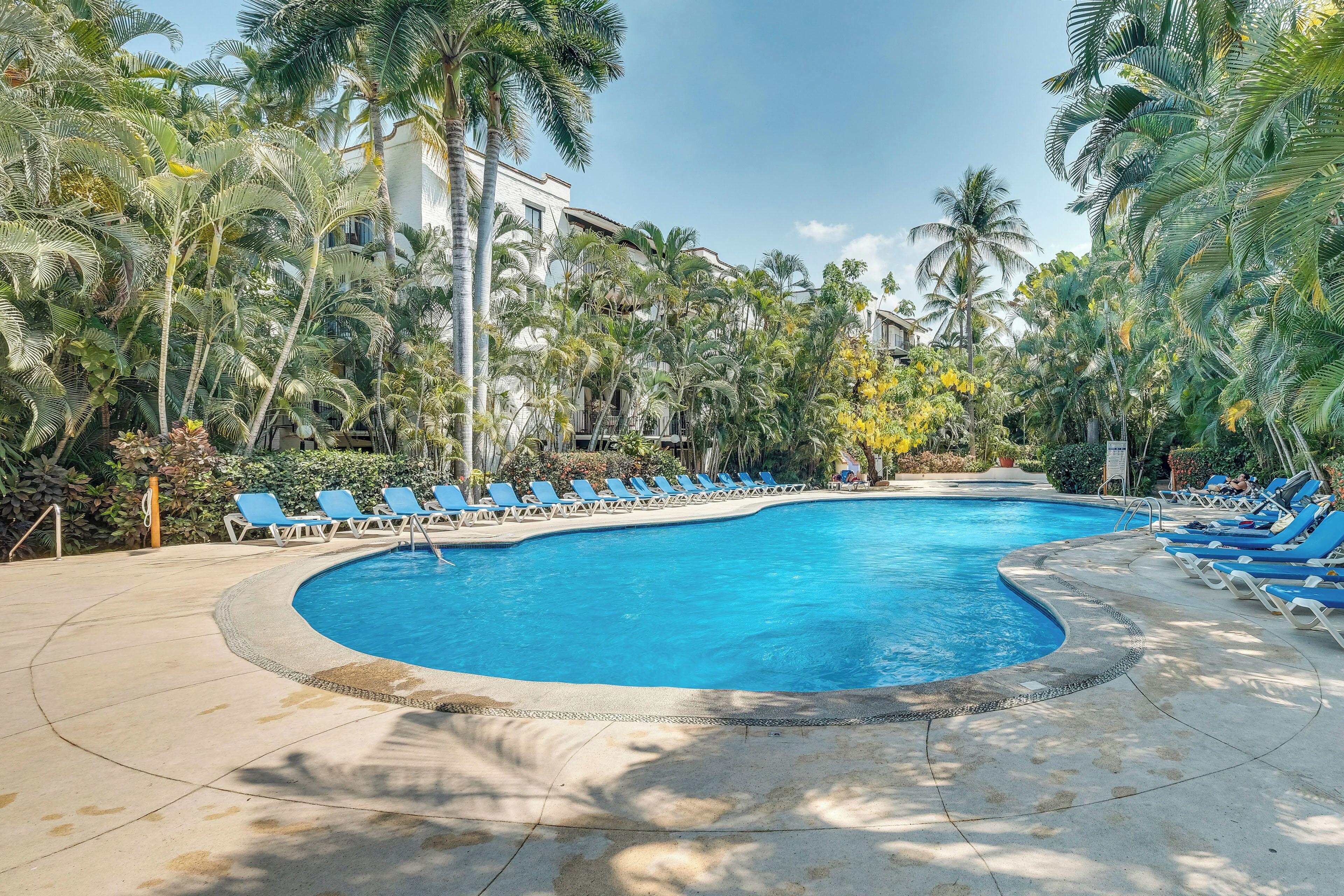Ein Swimmingpool, umgeben von Palmen und blauen Liegestühlen.