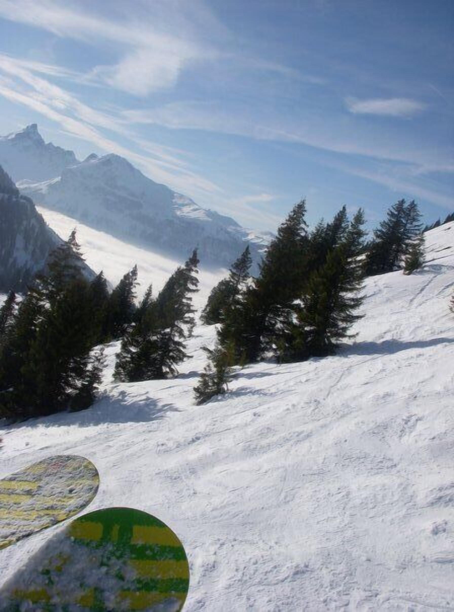 A snowy mountain landscape with trees and a clear sky.