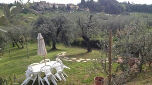 Un jardin avec une table et des chaises, des oliviers et un chemin de pierres.