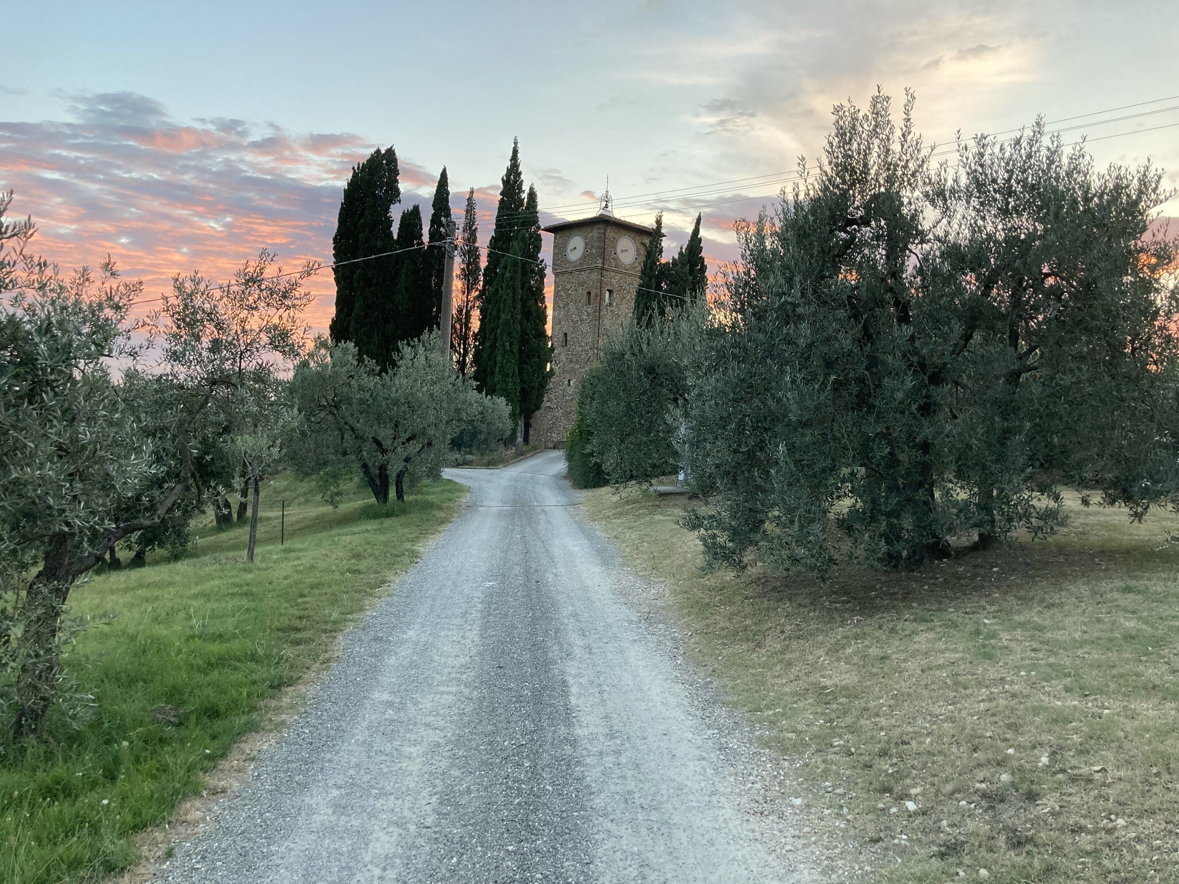 A rural road leading to a stone building with a clock tower, surrounded by olive trees and greenery.