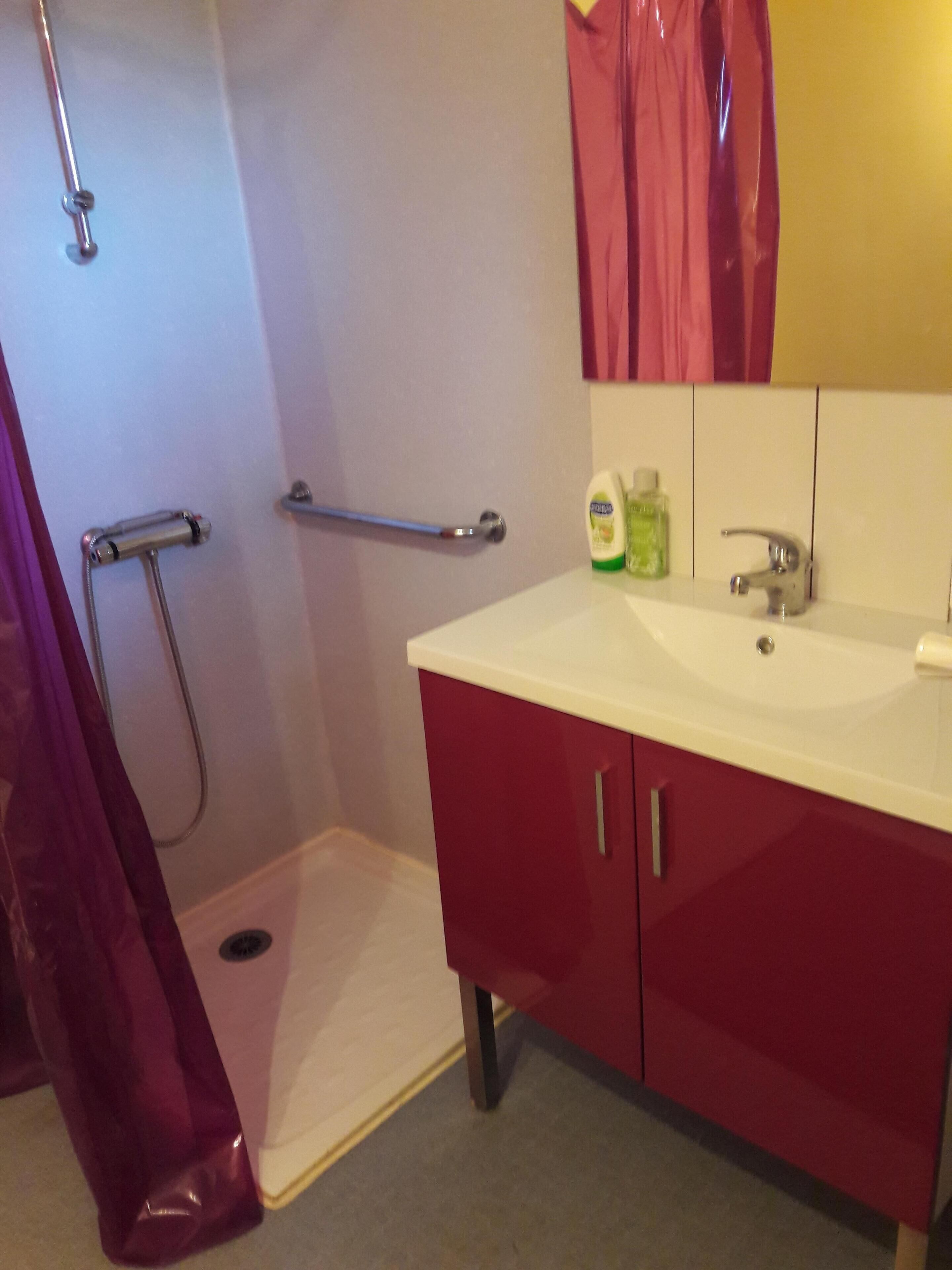Shower, towels, toilet paper