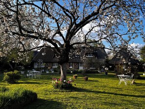 Outdoor dining - La Romanesque, charming bed and breakfast with breakfast (BERVILLE-SUR-MER)