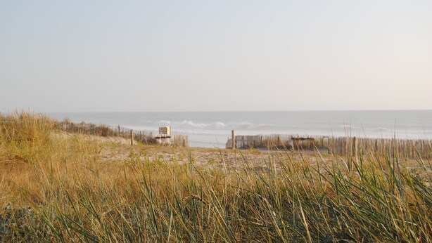 A beach with a wooden structure in the distance, surrounded by tall grasses. - Apartment by the sea, Bleu Marine Lacanau Ocean residence France (Lacanau Océan)