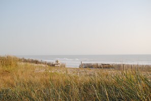 Een strand met een houten constructie in de verte, omringd door hoge grassen.