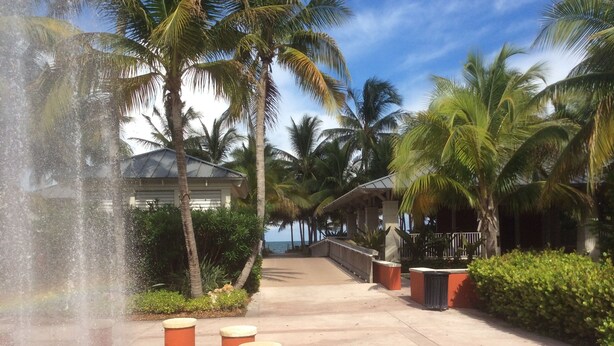 A pathway with a water feature, palm trees, and a building with a roof. - Paradise Found, Unique Location (Key Biscayne)