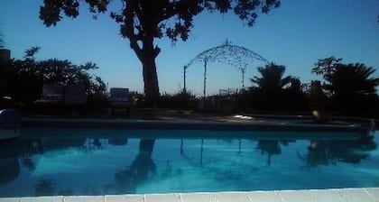 Plumbago Guest House