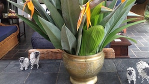 A potted bird of paradise plant on a tiled patio with wicker furniture and decorative items. - Plumbago Guest House (Mbombela)