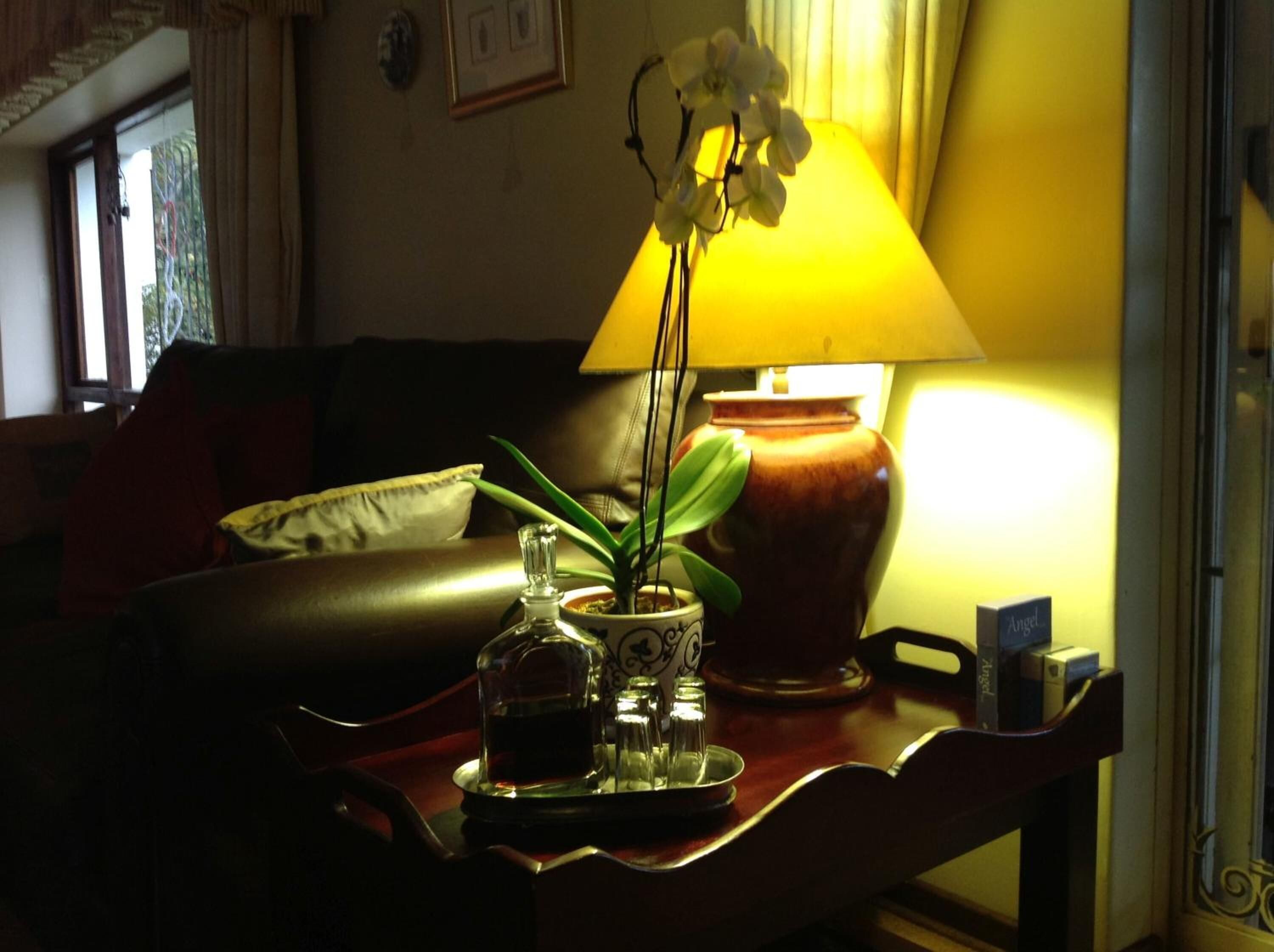 A cozy room with a leather sofa, a table with a lamp, a vase with a plant, and a tray with a bottle and glasses.