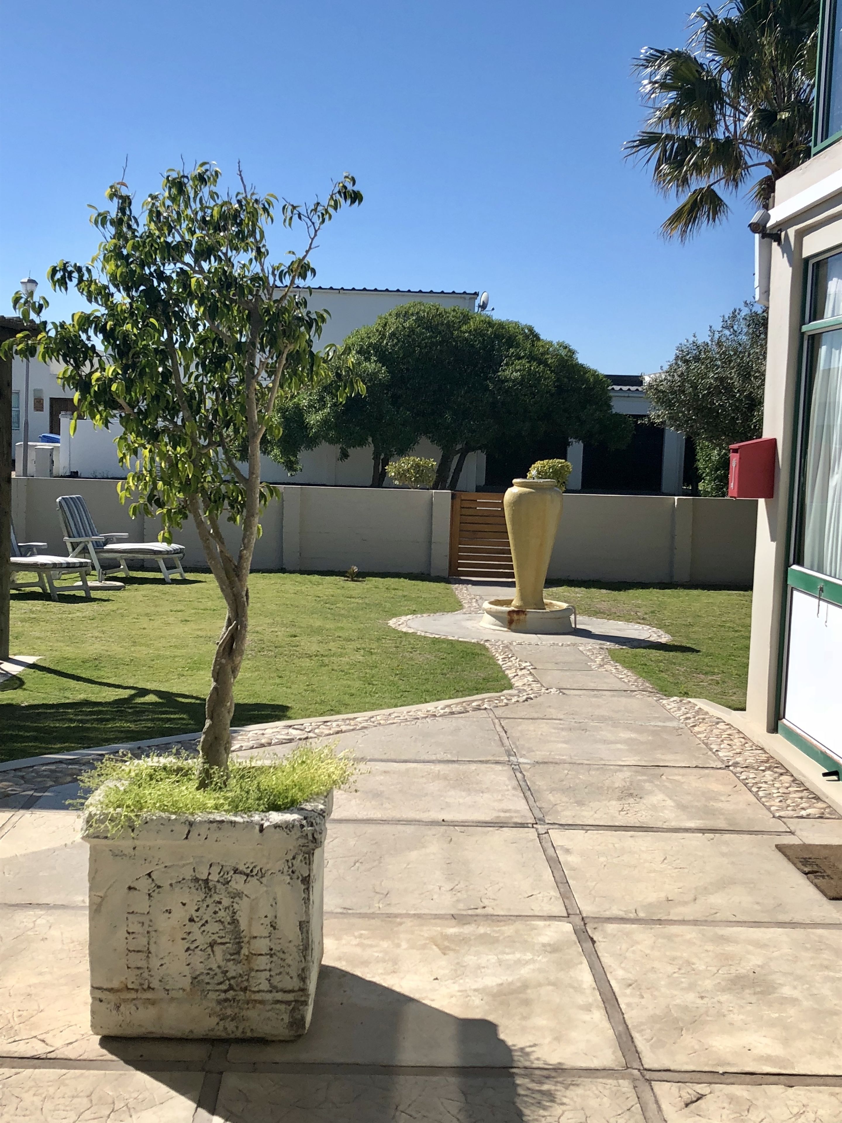 Un patio con un camino empedrado, un árbol pequeño, una maceta grande y una cerca de madera.