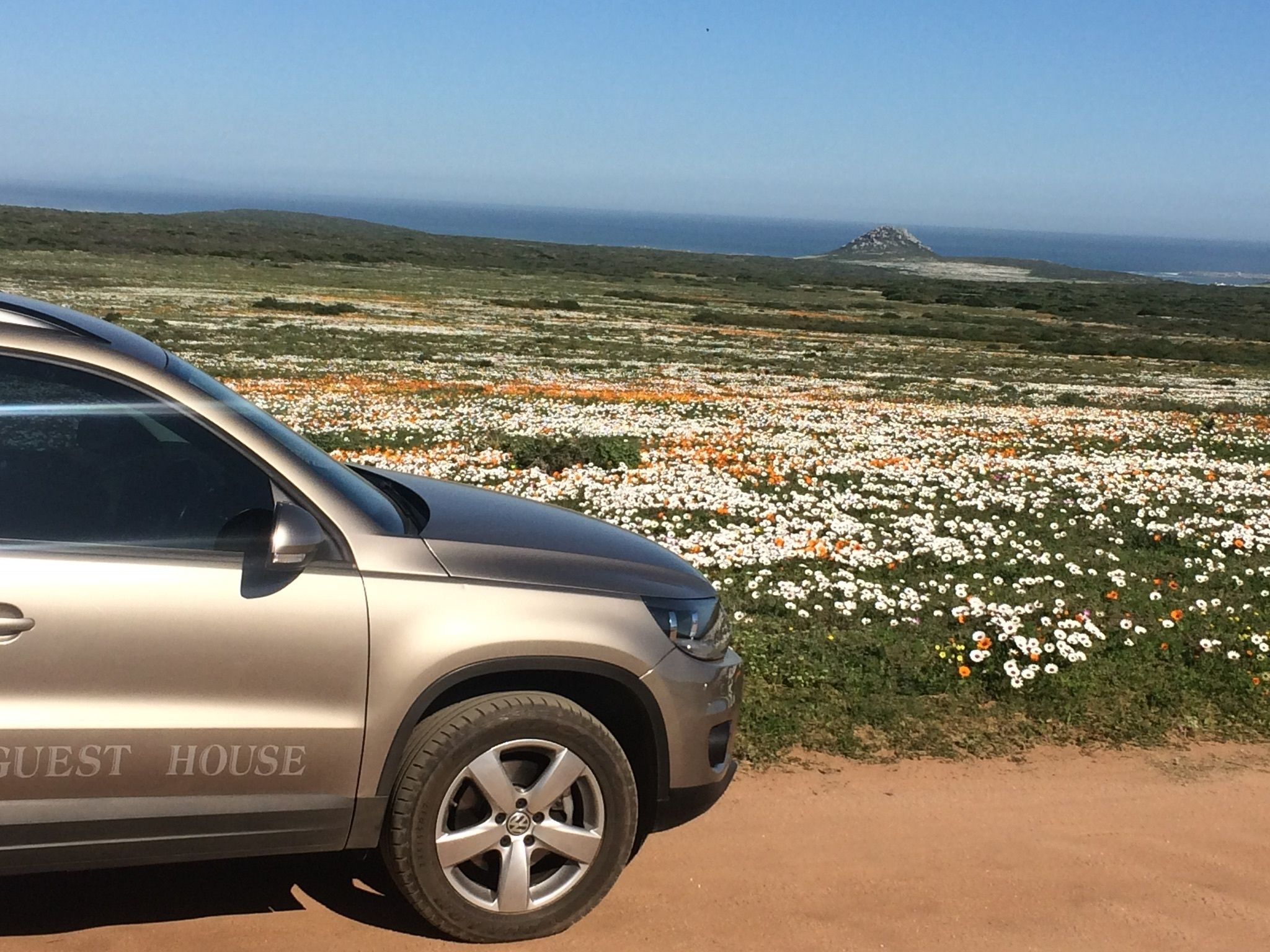 En bil parkeret på en grusvej med et blomsterbed af hvide og orange blomster i baggrunden og et bjerg i det fjerne.