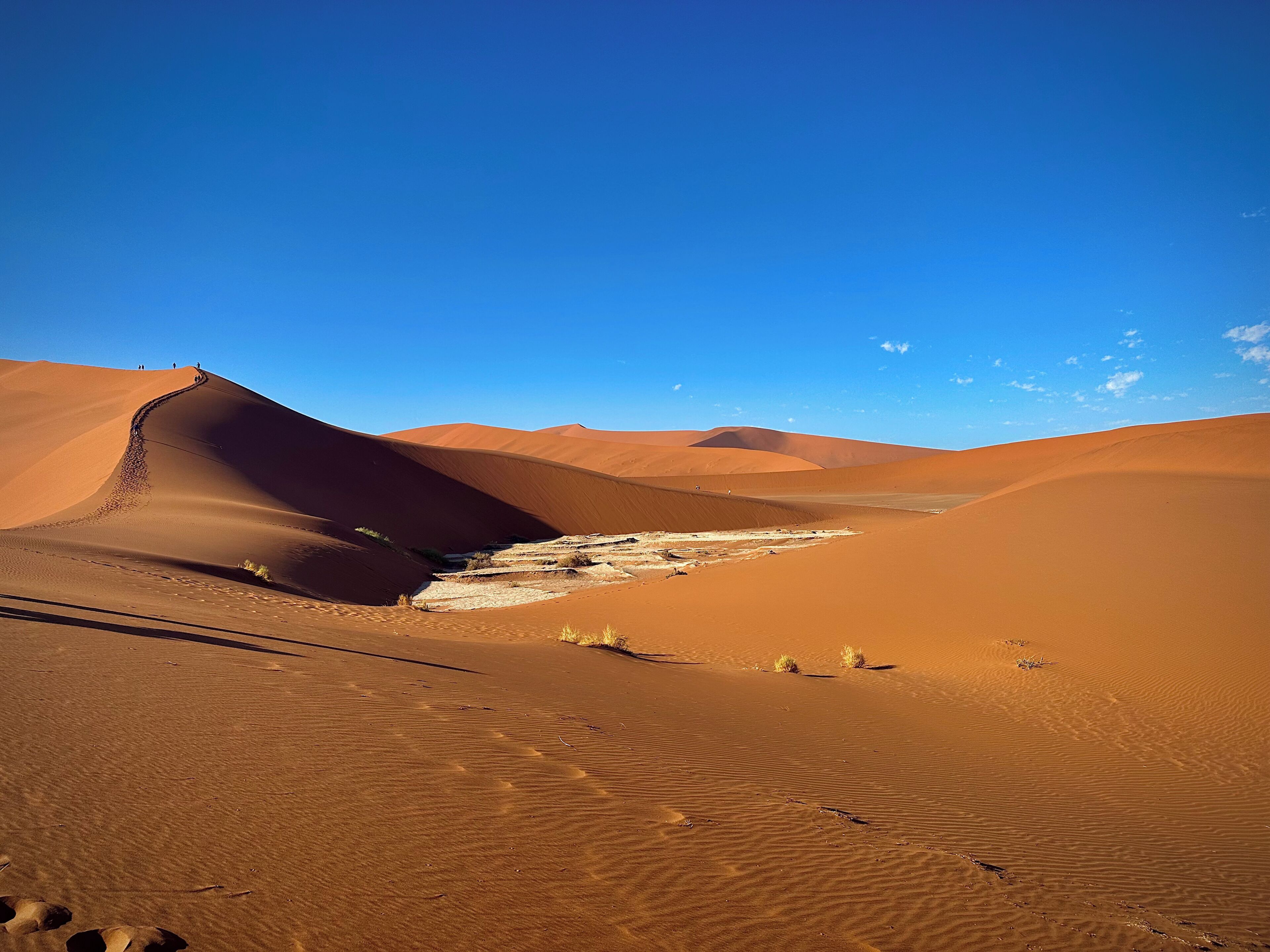A desert landscape with sand dunes and a clear blue sky.