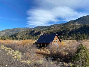 Imagen sin descripción, 5 de 46, botón