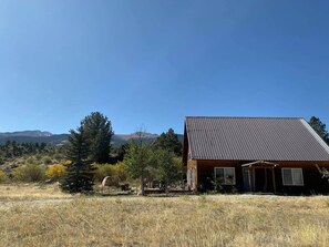 Unclassified image, 4 of 46, button