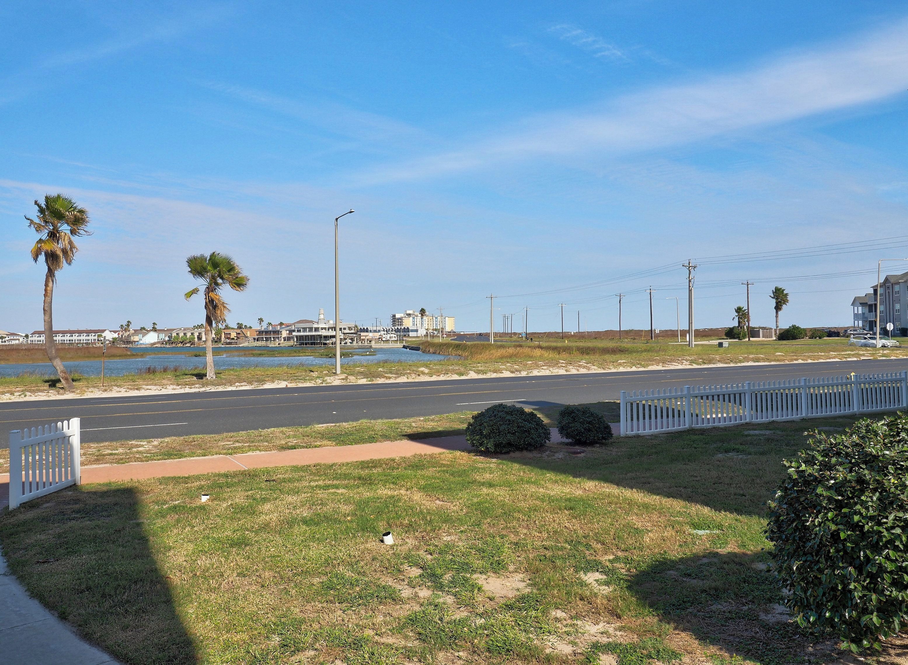 A coastal road with a white fence, palm trees, and a clear sky.