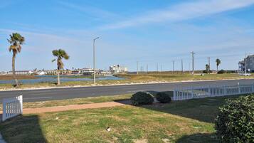 A coastal road with a white fence, palm trees, and a clear sky.