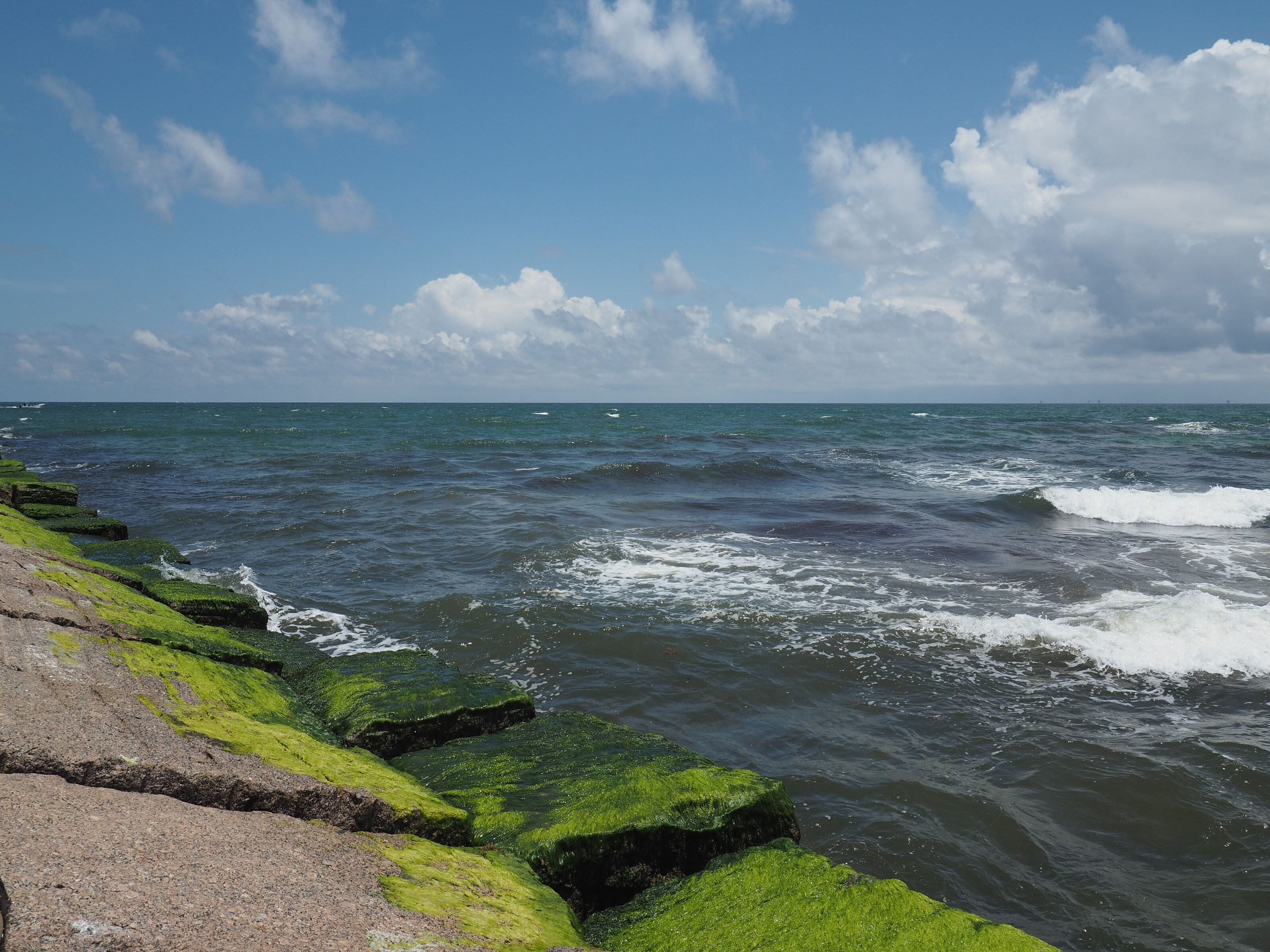 A coastal scene with waves crashing onto green algae-covered rocks and a clear blue sky.