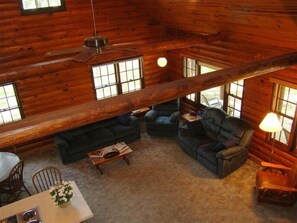 Televisión, chimenea, reproductor de DVD y libros 