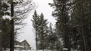 Paisagem coberta de neve com um edifício grande, rodeado por árvores altas.