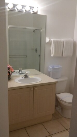 Hair dryer, towels - Formosa Gardens Area Pool Homes by SVV (Kissimmee)