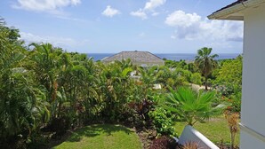 A lush garden with various tropical plants and a view of the ocean. - Sugar Hill - B8 by Island Villas (Holetown)